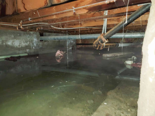 Sewage cleanup and water damage restoration in Forrest, IL