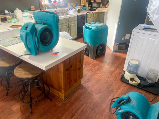 Best Ceiling water damage repair  in Forrest, IL