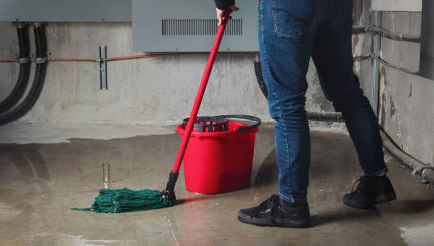 Best 24-hour water damage restoration  in Forrest, IL