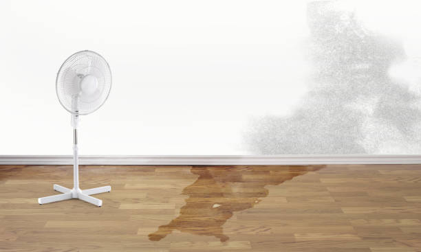 Best Water damage restoration near me  in Forrest, IL