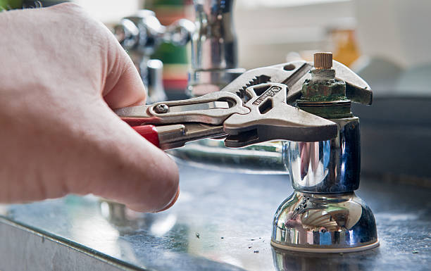 Best Fire Damage Restoration  in Forrest, IL