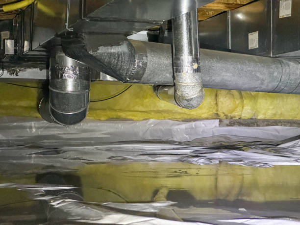 Best Flood restoration services  in Forrest, IL