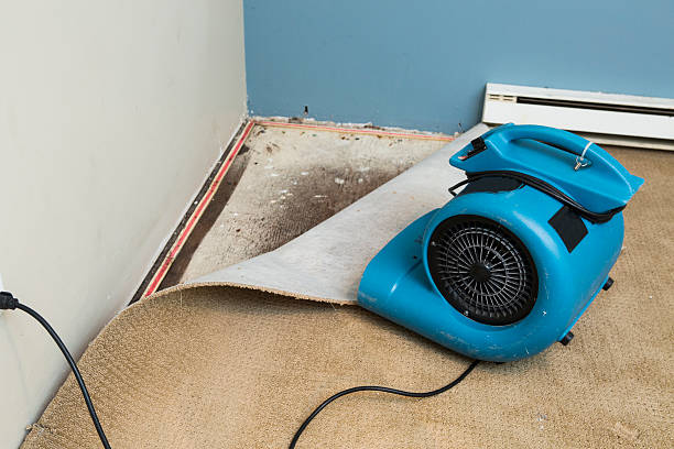 Best Residential water damage restoration  in Forrest, IL